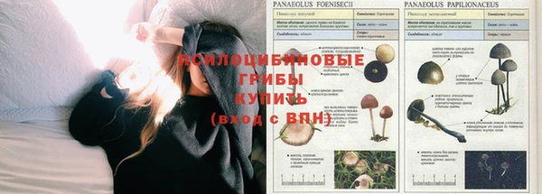 мдпв Богородицк