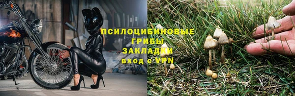гидра Семилуки