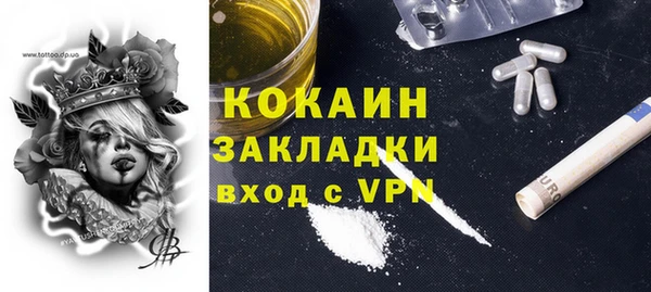 spice Богданович