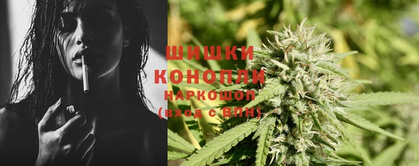 ГАЛЛЮЦИНОГЕННЫЕ ГРИБЫ Белоозёрский